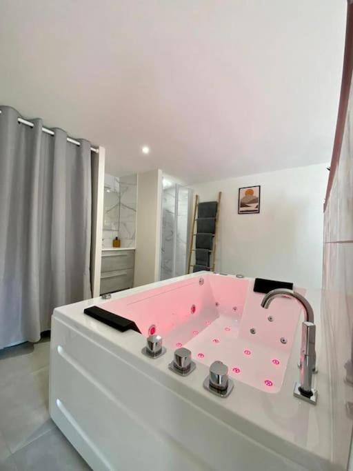 Loft Jardin Et Spa Bressuire Esterno foto
